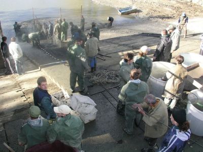 Kliknite pre zobrazenie v plnom rozlíšení