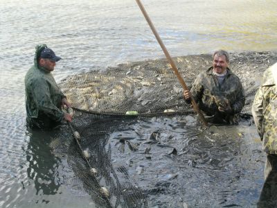 Kliknite pre zobrazenie v plnom rozlíšení