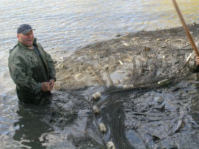 Kliknite pre zobrazenie v plnom rozlíšení