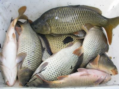 Kliknite pre zobrazenie v plnom rozlíšení