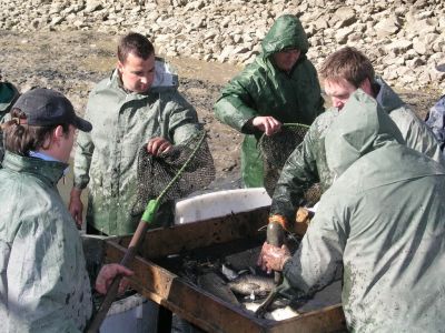 Kliknite pre zobrazenie v plnom rozlíšení