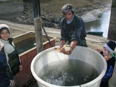 Kliknite pre zobrazenie v plnom rozlíšení