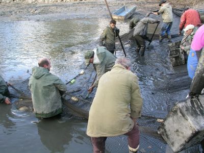 Kliknite pre zobrazenie v plnom rozlíšení