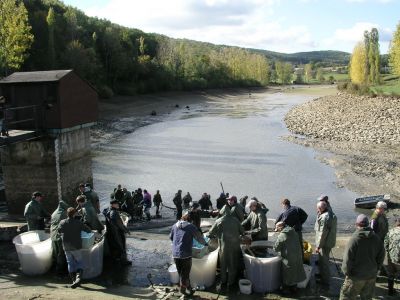 Kliknite pre zobrazenie v plnom rozlíšení