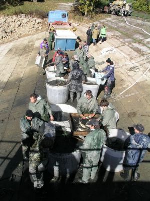 Kliknite pre zobrazenie v plnom rozlíšení