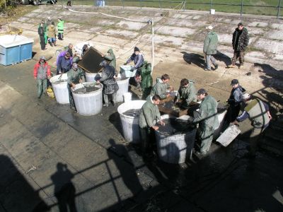 Kliknite pre zobrazenie v plnom rozlíšení