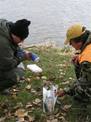 Kliknite pre zobrazenie v plnom rozlíšení