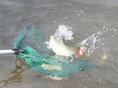 Kliknite pre zobrazenie v plnom rozlíšení