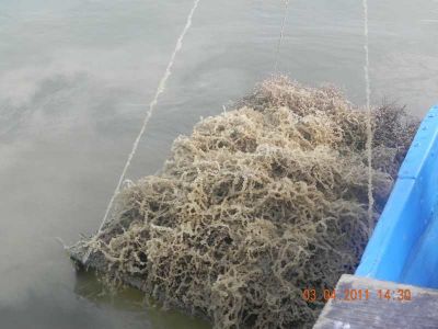 Kliknite pre zobrazenie v plnom rozlíšení