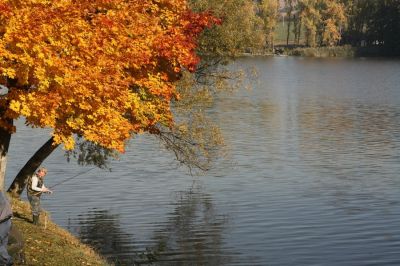 Kliknite pre zobrazenie v plnom rozlíšení