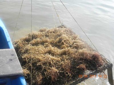 Kliknite pre zobrazenie v plnom rozlíšení