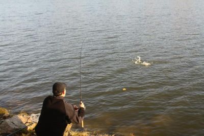 Kliknite pre zobrazenie v plnom rozlíšení