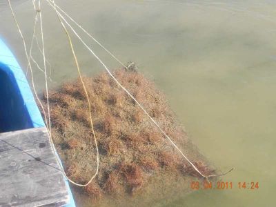 Kliknite pre zobrazenie v plnom rozlíšení