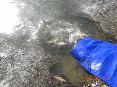 Kliknite pre zobrazenie v plnom rozlíšení