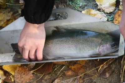 Kliknite pre zobrazenie v plnom rozlíšení