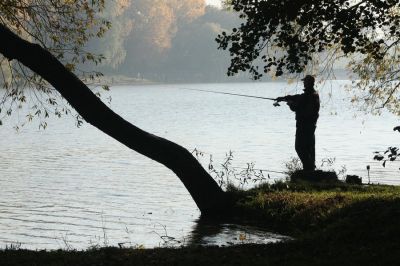 Kliknite pre zobrazenie v plnom rozlíšení