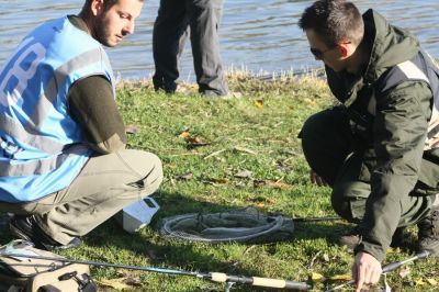 Kliknite pre zobrazenie v plnom rozlíšení