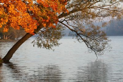Kliknite pre zobrazenie v plnom rozlíšení