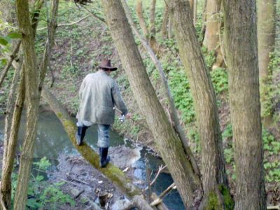 Kliknite pre zobrazenie v plnom rozlíšení