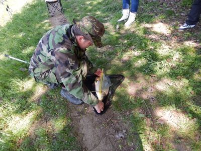 Kliknite pre zobrazenie v plnom rozlíšení