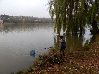 Kliknite pre zobrazenie v plnom rozlíšení