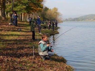 Kliknite pre zobrazenie v plnom rozlíšení