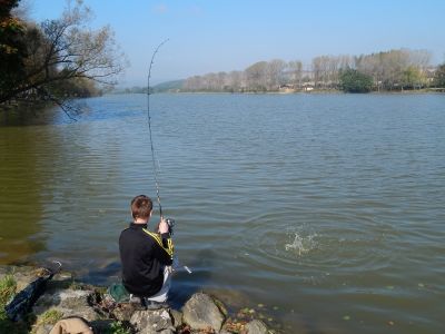 Kliknite pre zobrazenie v plnom rozlíšení