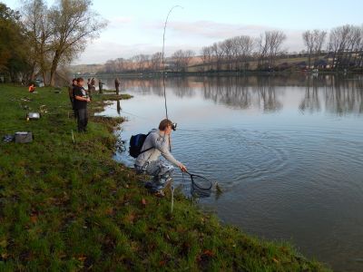 Kliknite pre zobrazenie v plnom rozlíšení