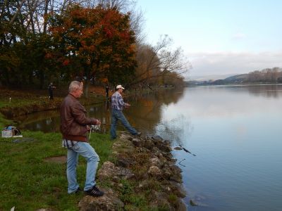 Kliknite pre zobrazenie v plnom rozlíšení