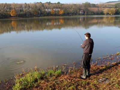 Kliknite pre zobrazenie v plnom rozlíšení