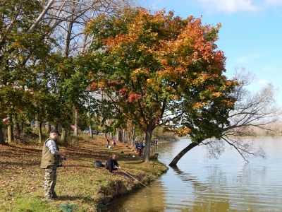 Kliknite pre zobrazenie v plnom rozlíšení