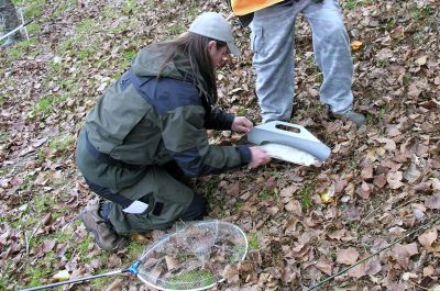 Kliknite pre zobrazenie v plnom rozlíšení