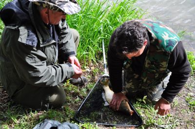 Kliknite pre zobrazenie v plnom rozlíšení