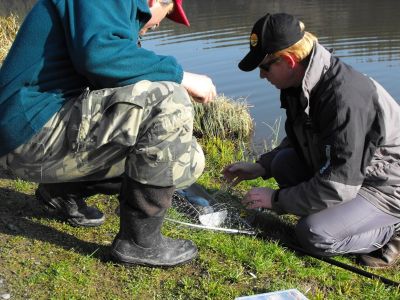 Kliknite pre zobrazenie v plnom rozlíšení