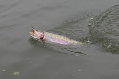 Kliknite pre zobrazenie v plnom rozlíšení