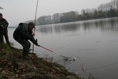 Kliknite pre zobrazenie v plnom rozlíšení