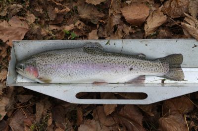 Kliknite pre zobrazenie v plnom rozlíšení