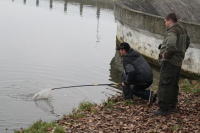 Kliknite pre zobrazenie v plnom rozlíšení