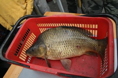 Kliknite pre zobrazenie v plnom rozlíšení