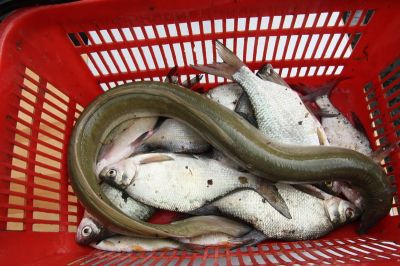 Kliknite pre zobrazenie v plnom rozlíšení