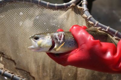 Kliknite pre zobrazenie v plnom rozlíšení