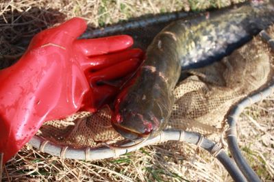 Kliknite pre zobrazenie v plnom rozlíšení