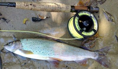 Kliknite pre zobrazenie v plnom rozlíšení