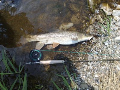 Kliknite pre zobrazenie v plnom rozlíšení