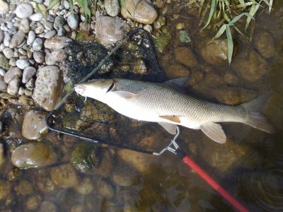 Kliknite pre zobrazenie v plnom rozlíšení