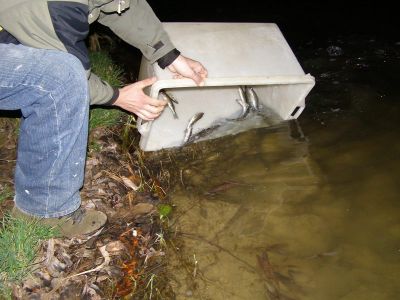 Kliknite pre zobrazenie v plnom rozlíšení