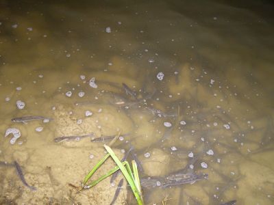 Kliknite pre zobrazenie v plnom rozlíšení