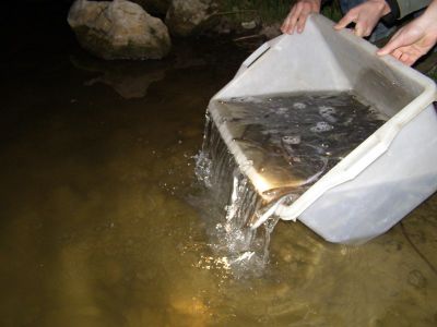 Kliknite pre zobrazenie v plnom rozlíšení