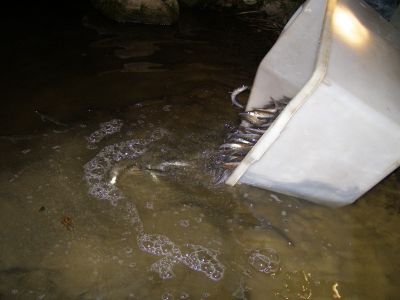 Kliknite pre zobrazenie v plnom rozlíšení