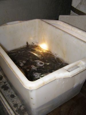 Kliknite pre zobrazenie v plnom rozlíšení